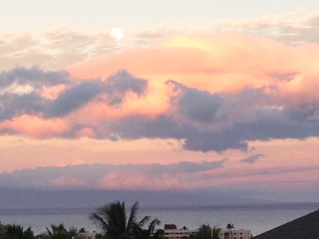 Building Photo - 2570 Hunakai St