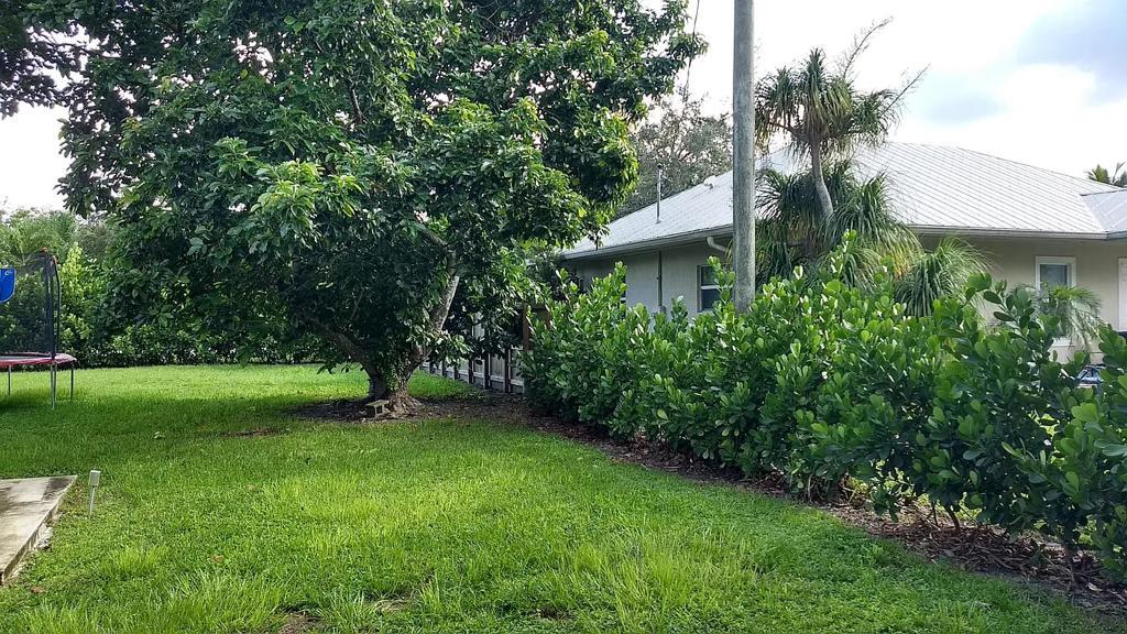 backyard - 8360 SW 122nd St