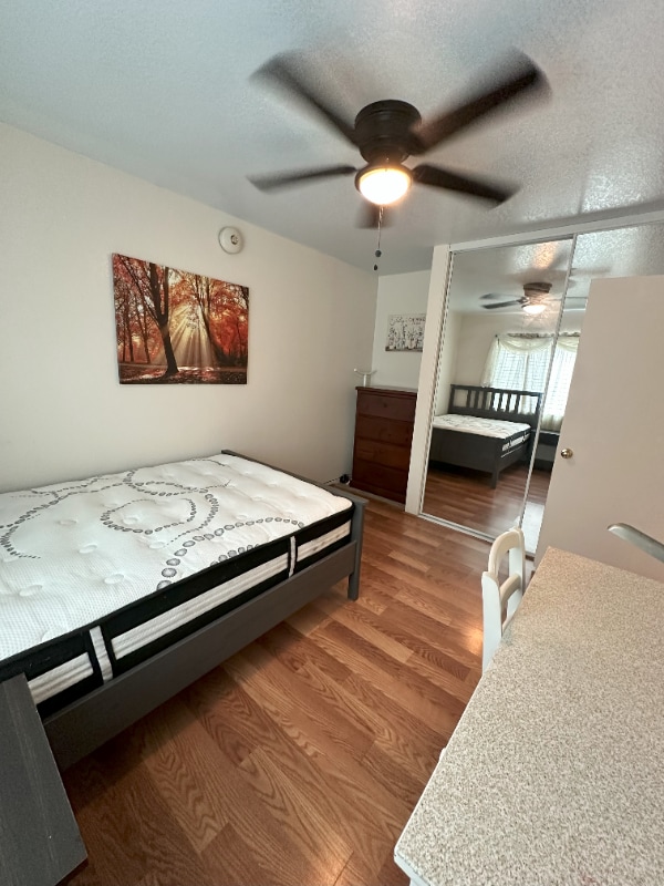 Building Photo - 1511 Seabrook Ln