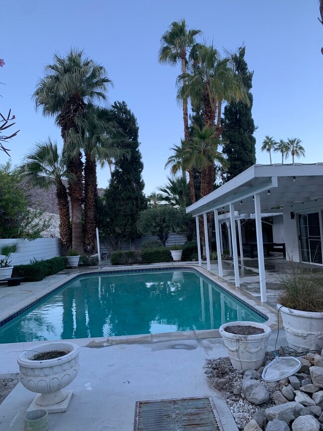 Pool area - 835 N Rose Ave