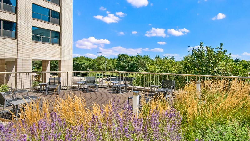 Building Photo - 1126 S Michigan Ave