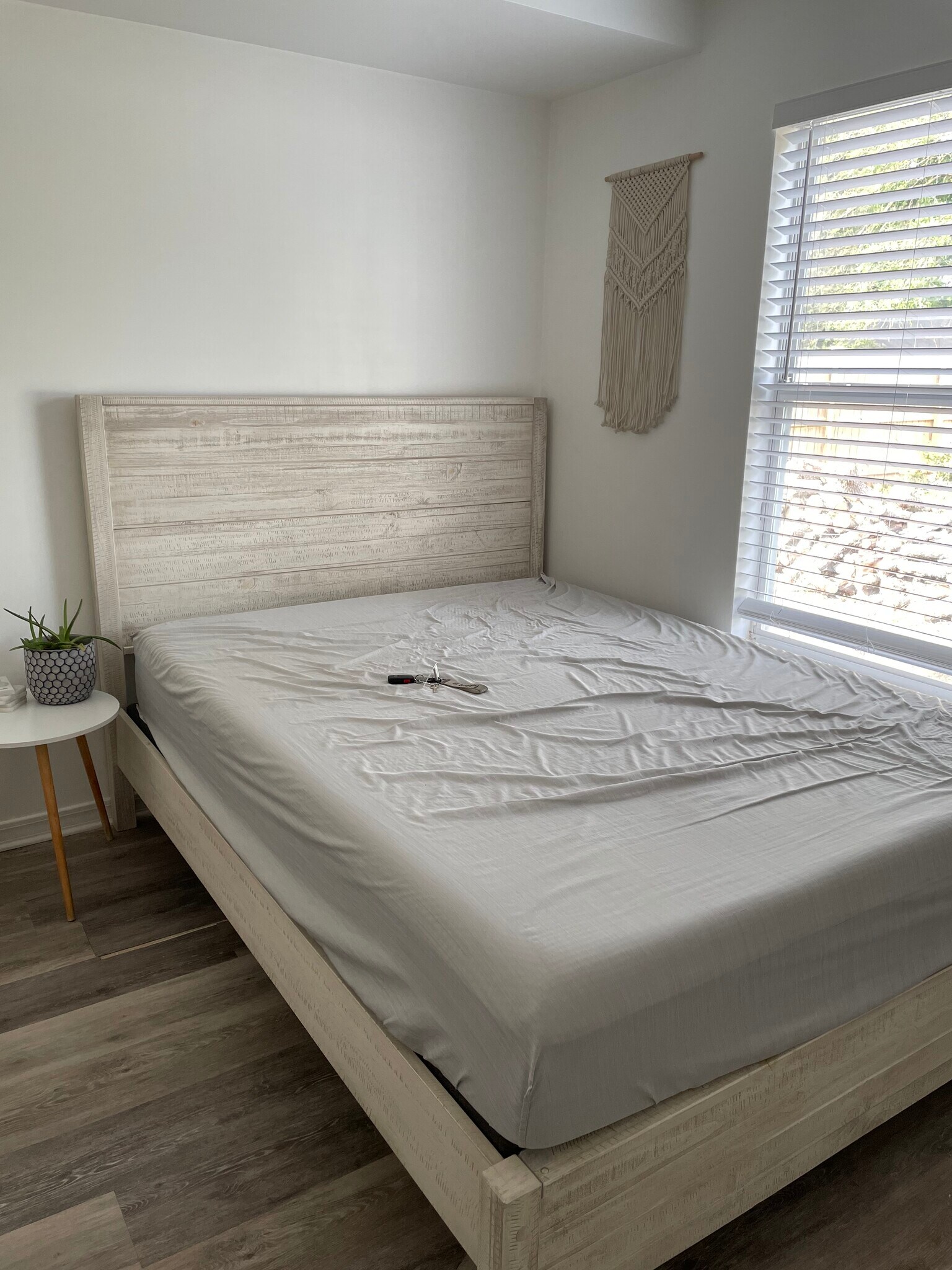 Building Photo - 141 Palmer St