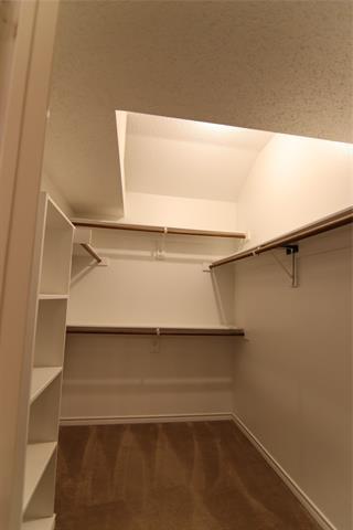 Building Photo - 1507 Warm Springs Dr