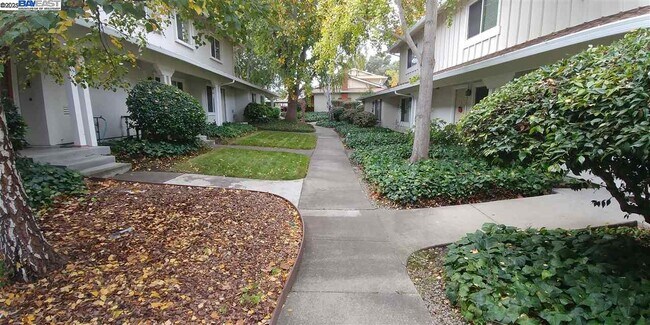 Building Photo - 2551 Twin Creeks Dr