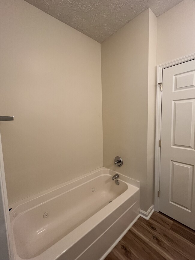 Master Bath Jetted Tub - 532 Lionshead Rd