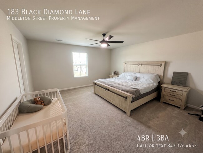 Building Photo - 183 Black Diamond Ln