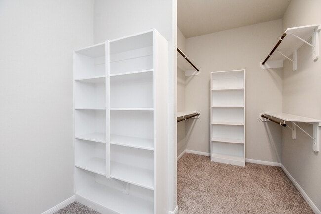 Building Photo - 23602 Acerola Tree Ct