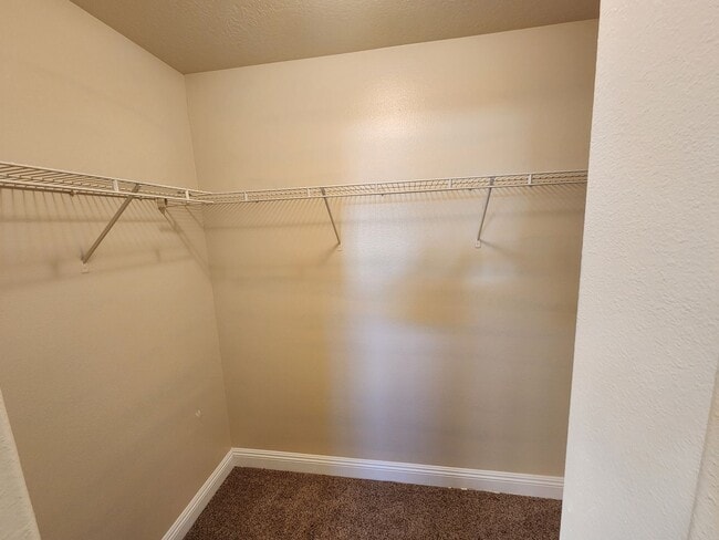 Building Photo - All new paint - super clean and move in ready.