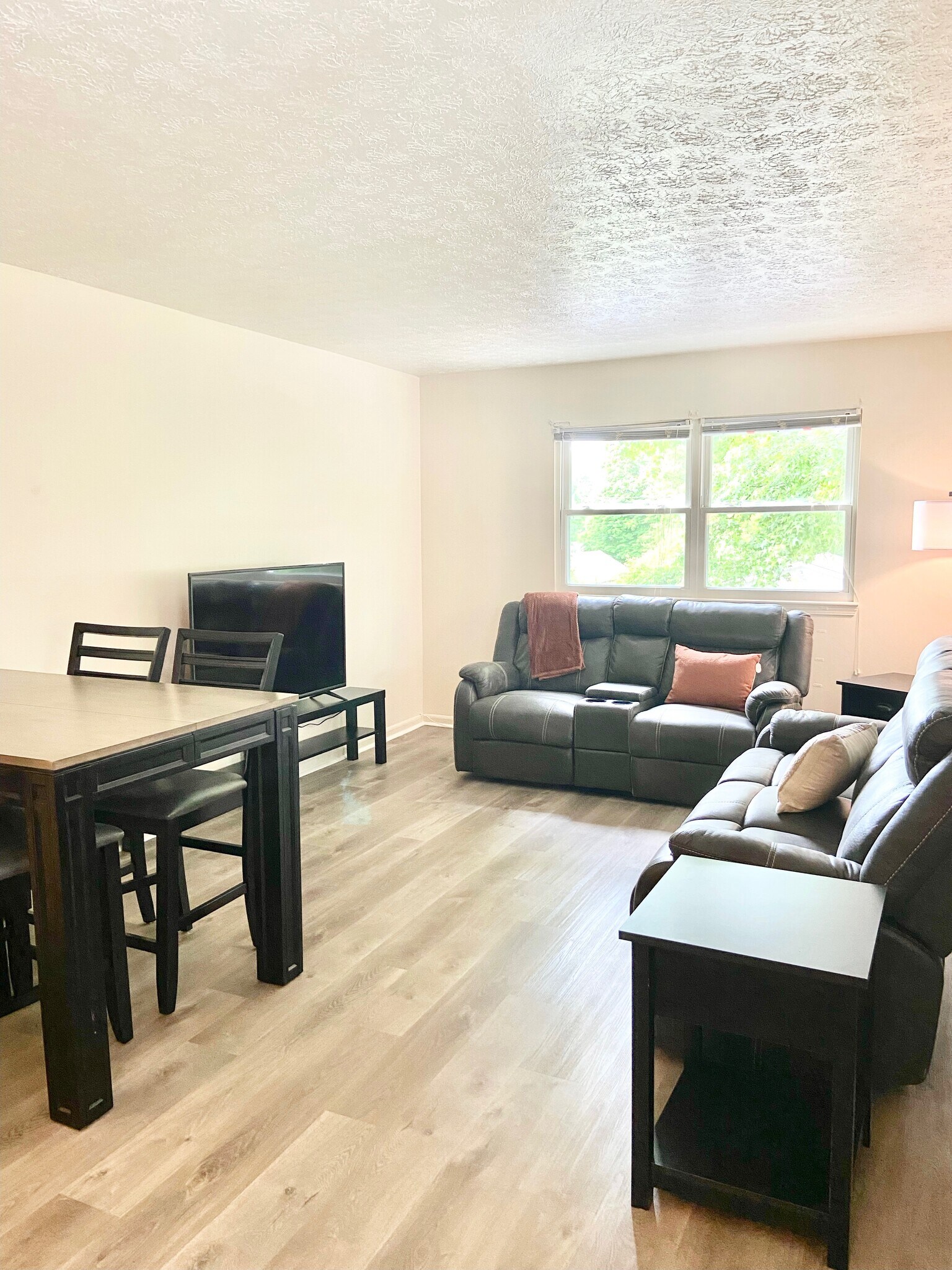Two couches new 50" TV in living room - 145 E Wellington Ave