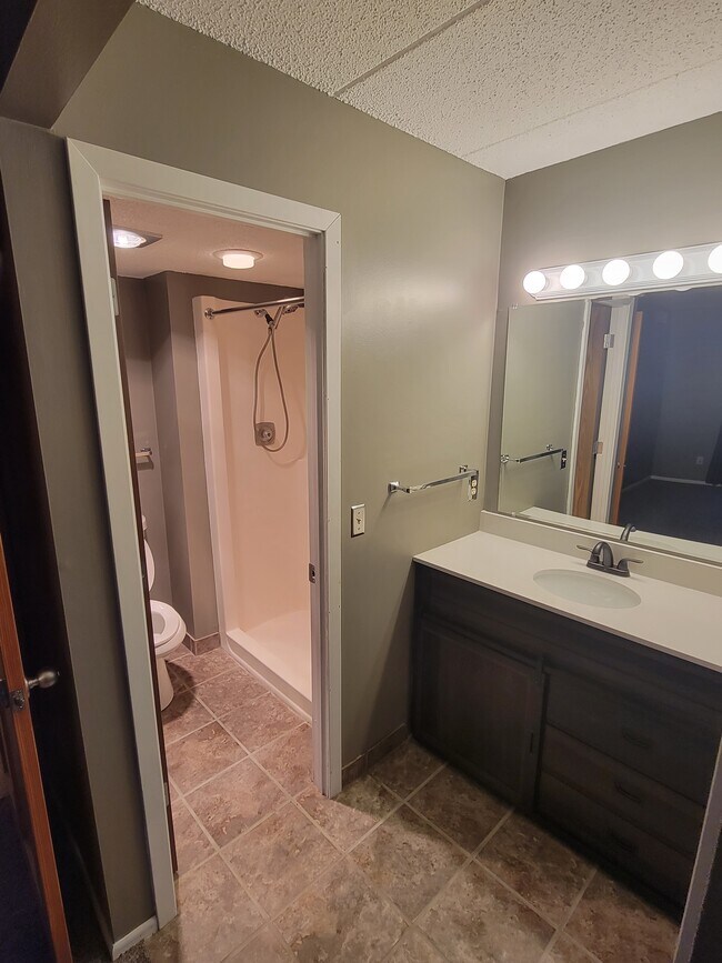 Connected private shower in owners suite - 3320 Louisiana Ave S