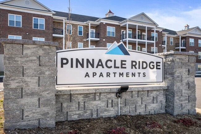 Primary Photo - 397 Mule Academy Rd