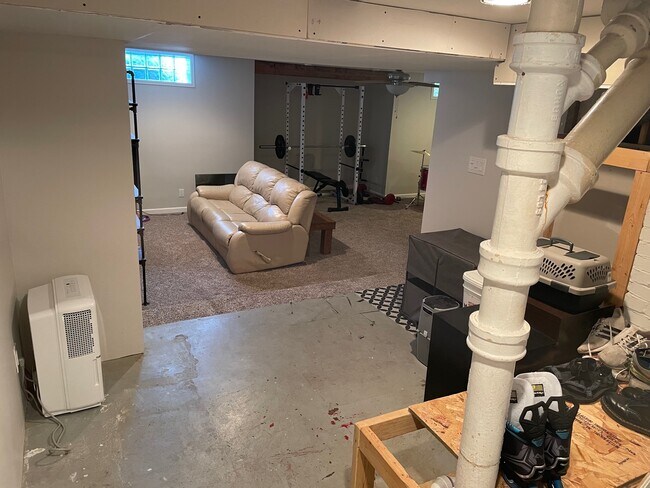 Basement. - 826 Hall St