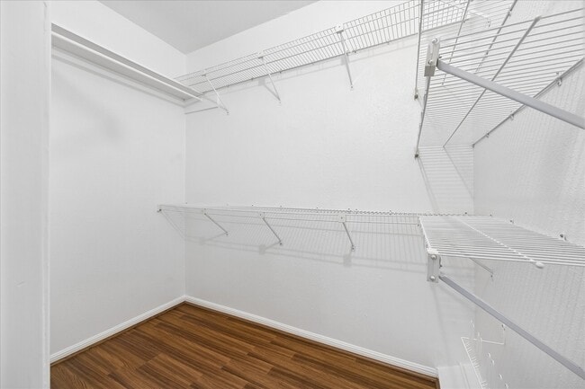 Building Photo - 2100 Tanglewilde St