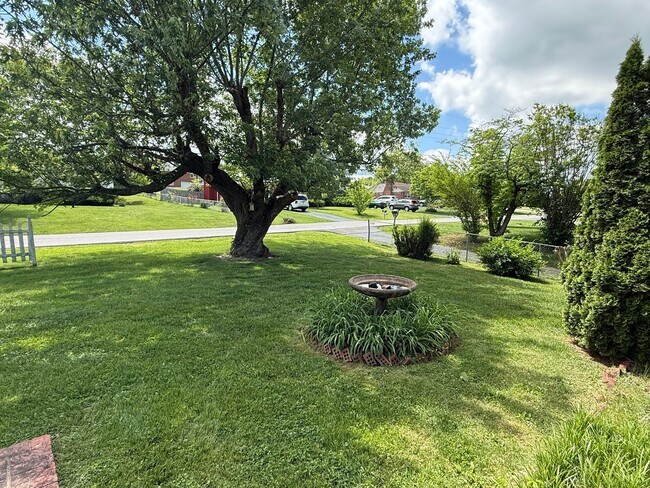 Building Photo - Beautiful 3 bedroom- North Johnson City