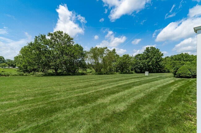 Building Photo - 5179 Mantua Dr