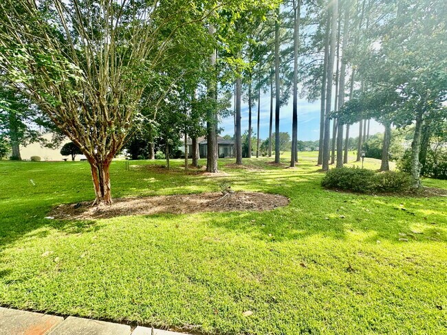 Building Photo - Outstanding Two Bedroom Home in Sun City!