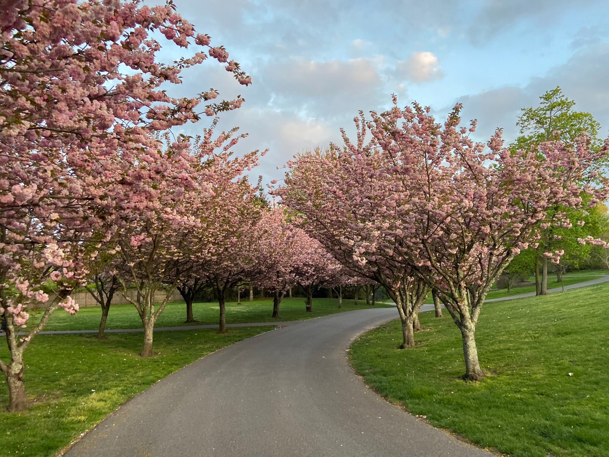 Nearby park - 18 Lincoln Ave