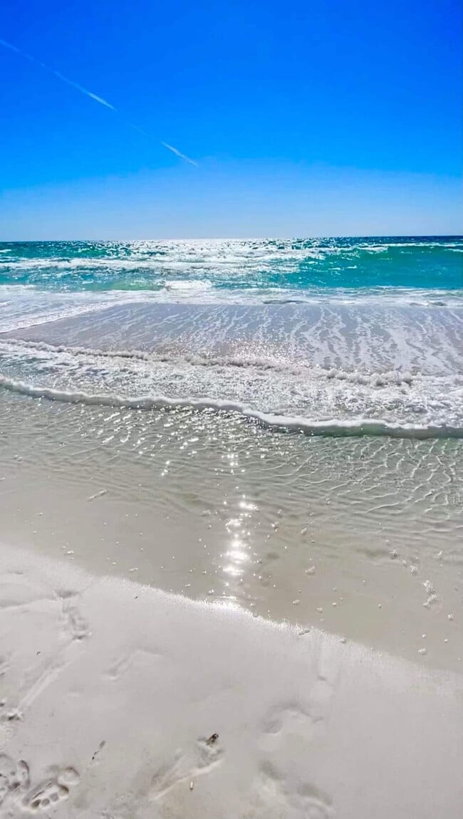 Building Photo - 500 Gulf Shore Dr