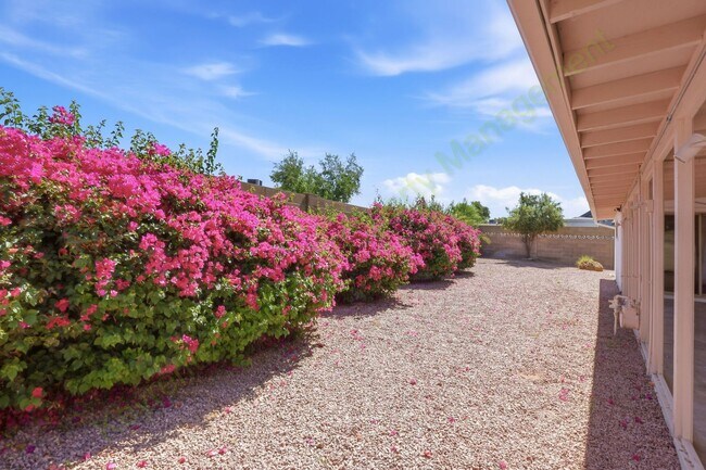 Building Photo - Updated South Scottsdale Gem Near Old Town – No HOA!