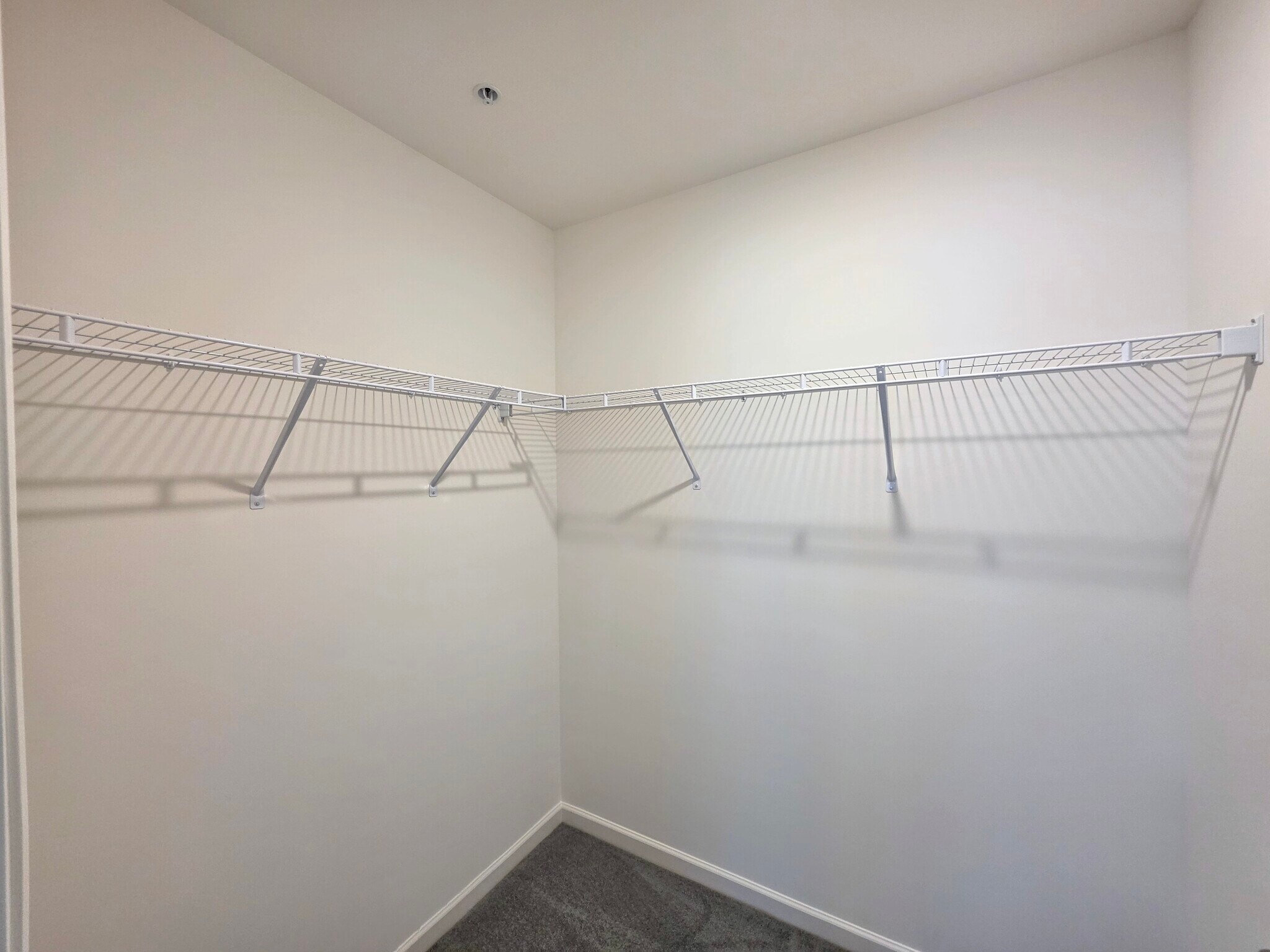 Building Photo - 2449 Spring Water Cir