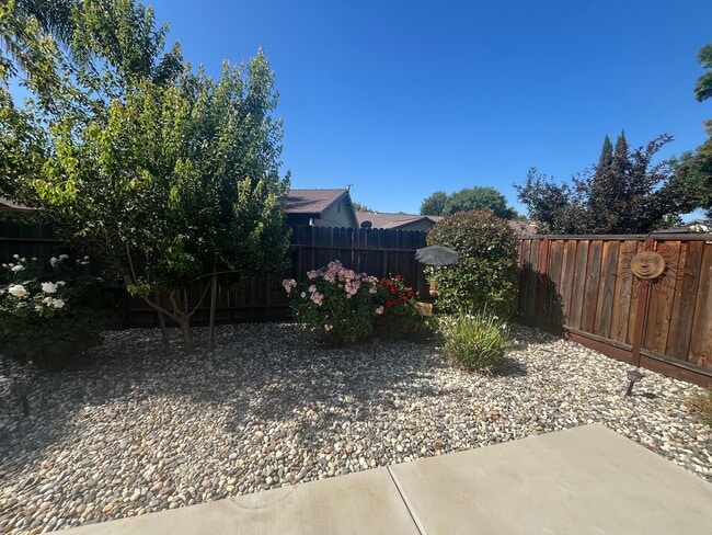 Building Photo - Charming 3/2 Home in Woodland-$500.00 OFF ...