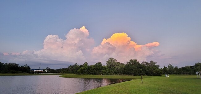 Building Photo - 11808 Thicket Wood Dr