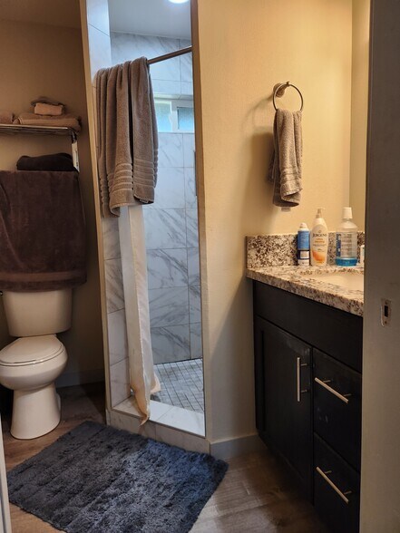 Guest Bathroom - 381 S Kamehameha Ave