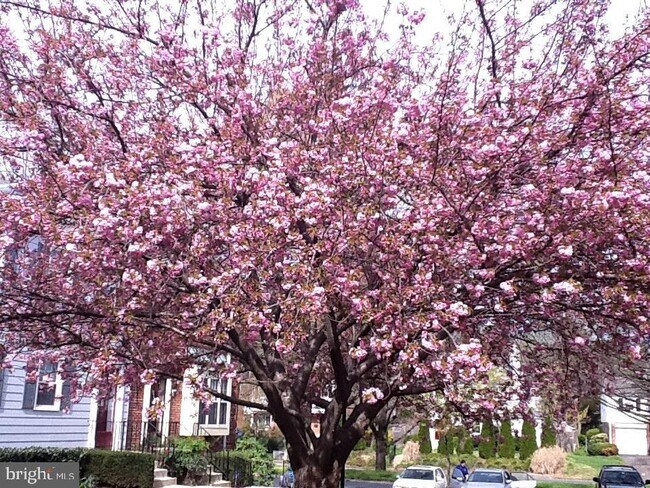 Building Photo - 4920 Bradley Blvd