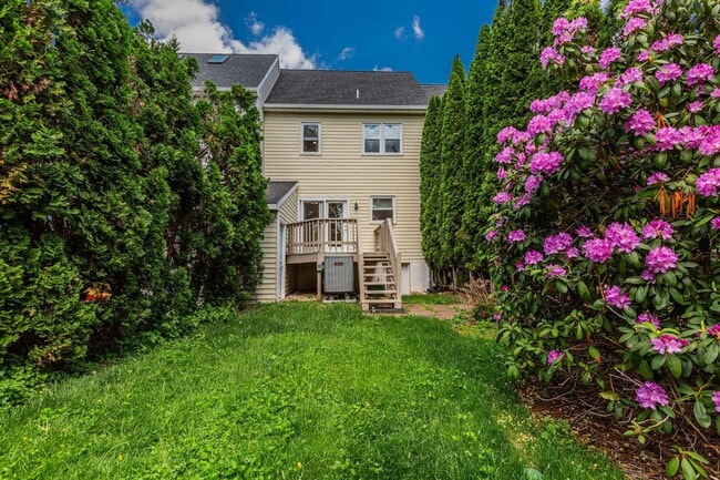 Building Photo - Updated Townhouse with Deck, Basement, New...