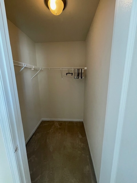 Building Photo - 18 Chillingham Ct