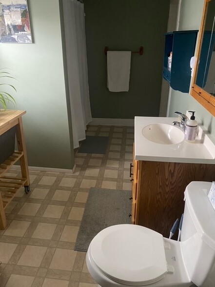 Full large bathroom - 416 E Decker St