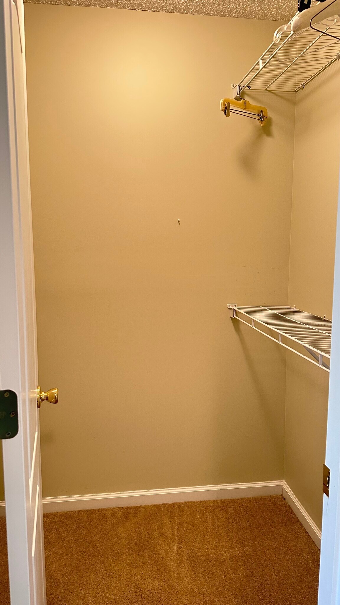Her closet - 145 White Dogwood Ln