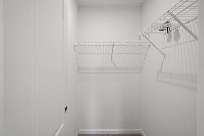 Building Photo - 2236 Elias Boone Ct