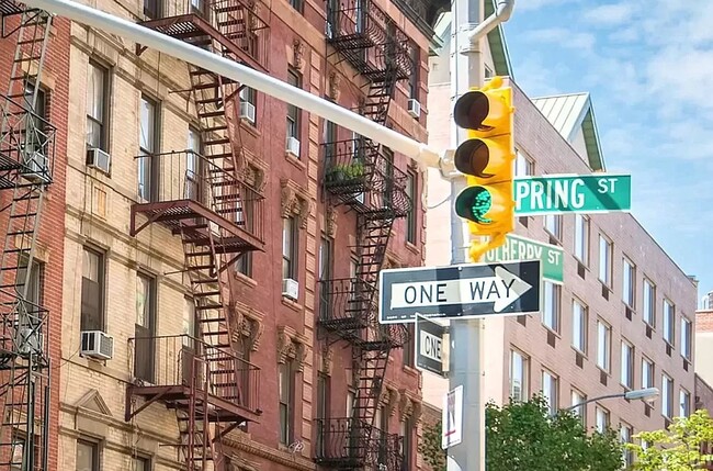 Building Photo - 247 Mulberry Street