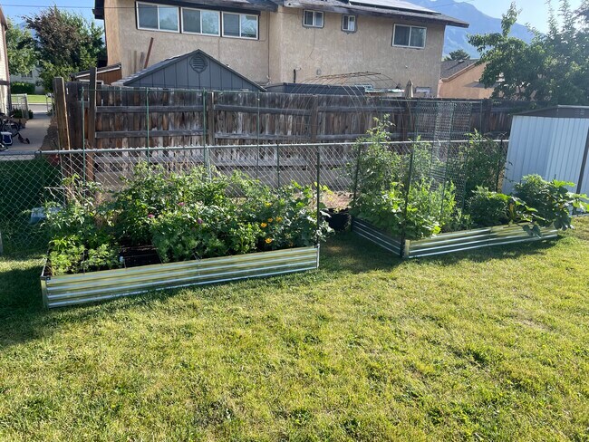 Building Photo - Orem Triplex