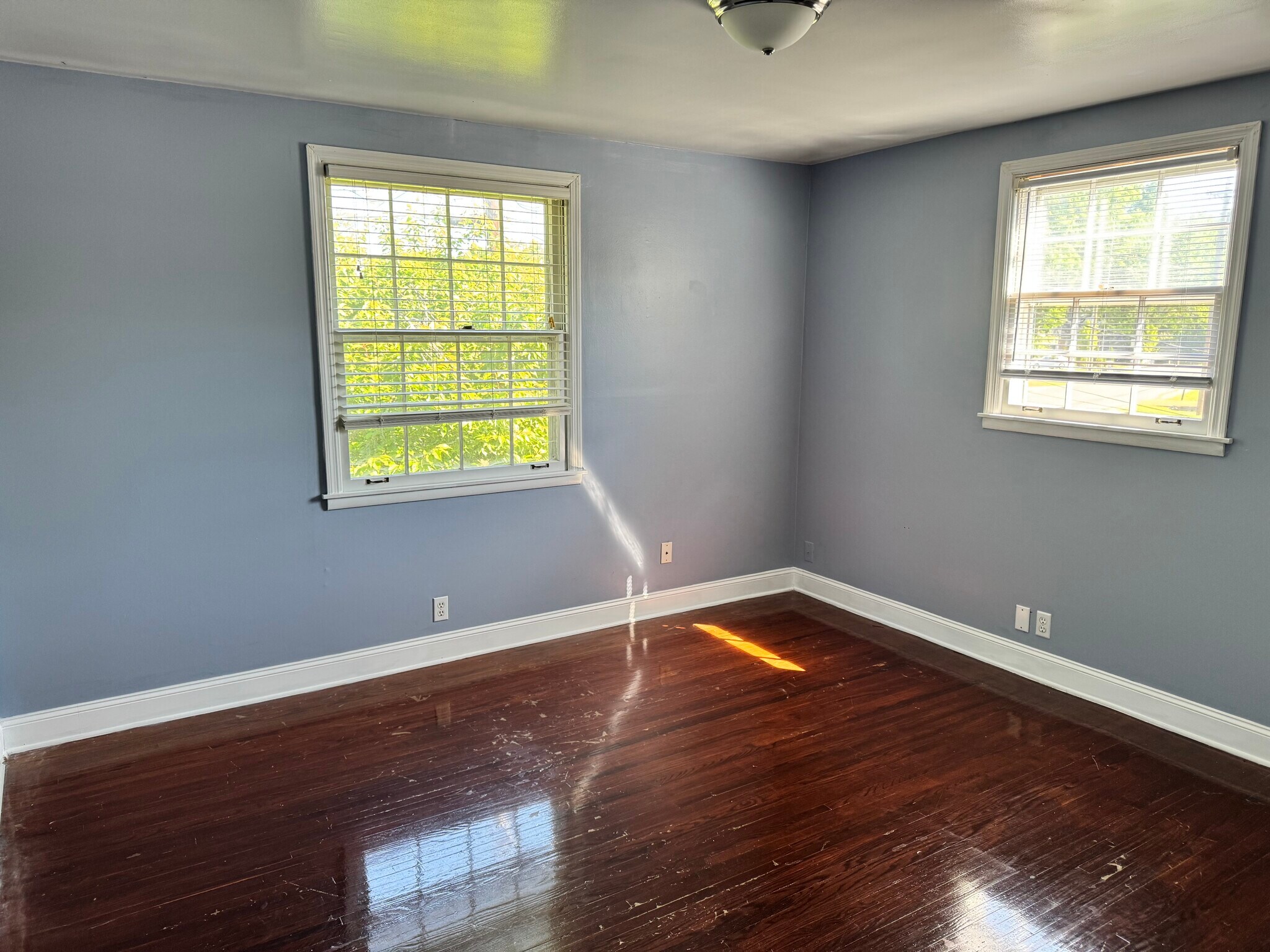 Building Photo - 446 Capri Dr