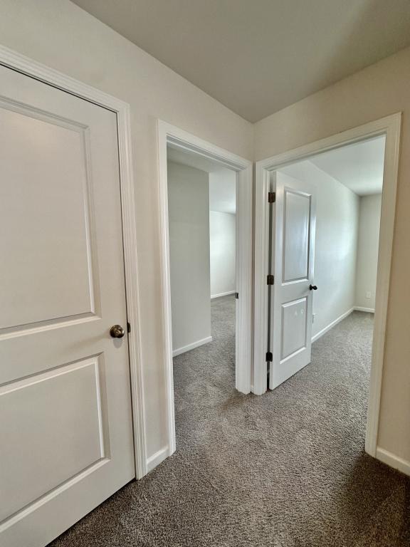 Building Photo - 1339 Mifflin Ln