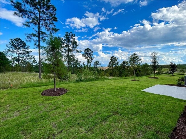 Building Photo - 4 Bedroom, 2 Bathroom homes in Minneola