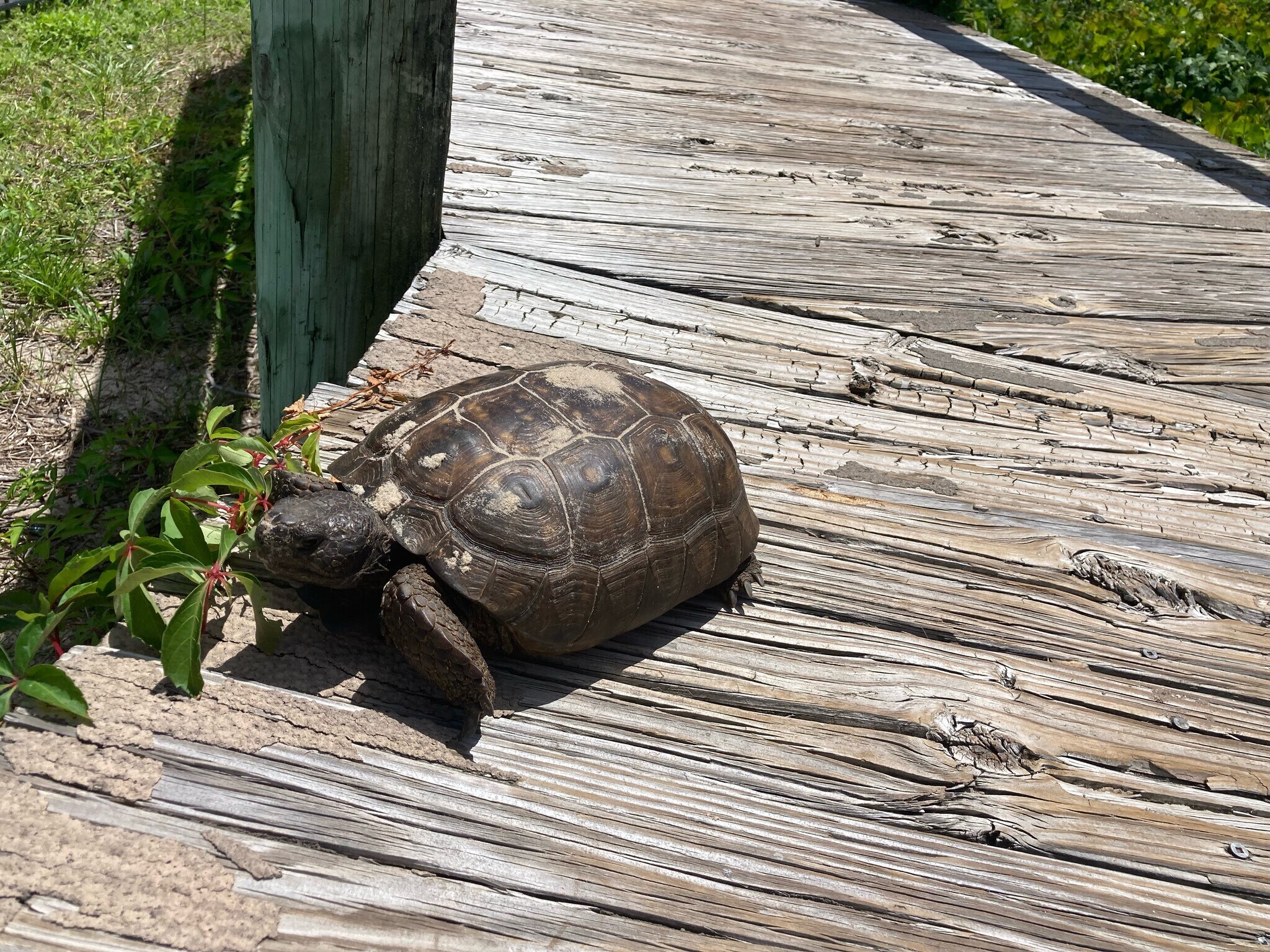 Building Photo - 3341 1st Ave