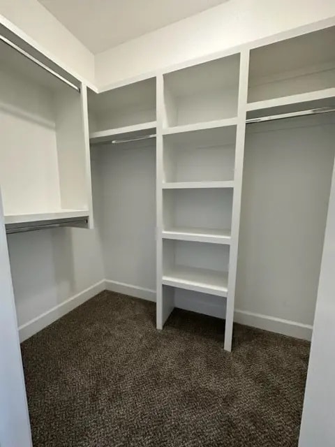 Master Closet - 4347 Old Goins Rd
