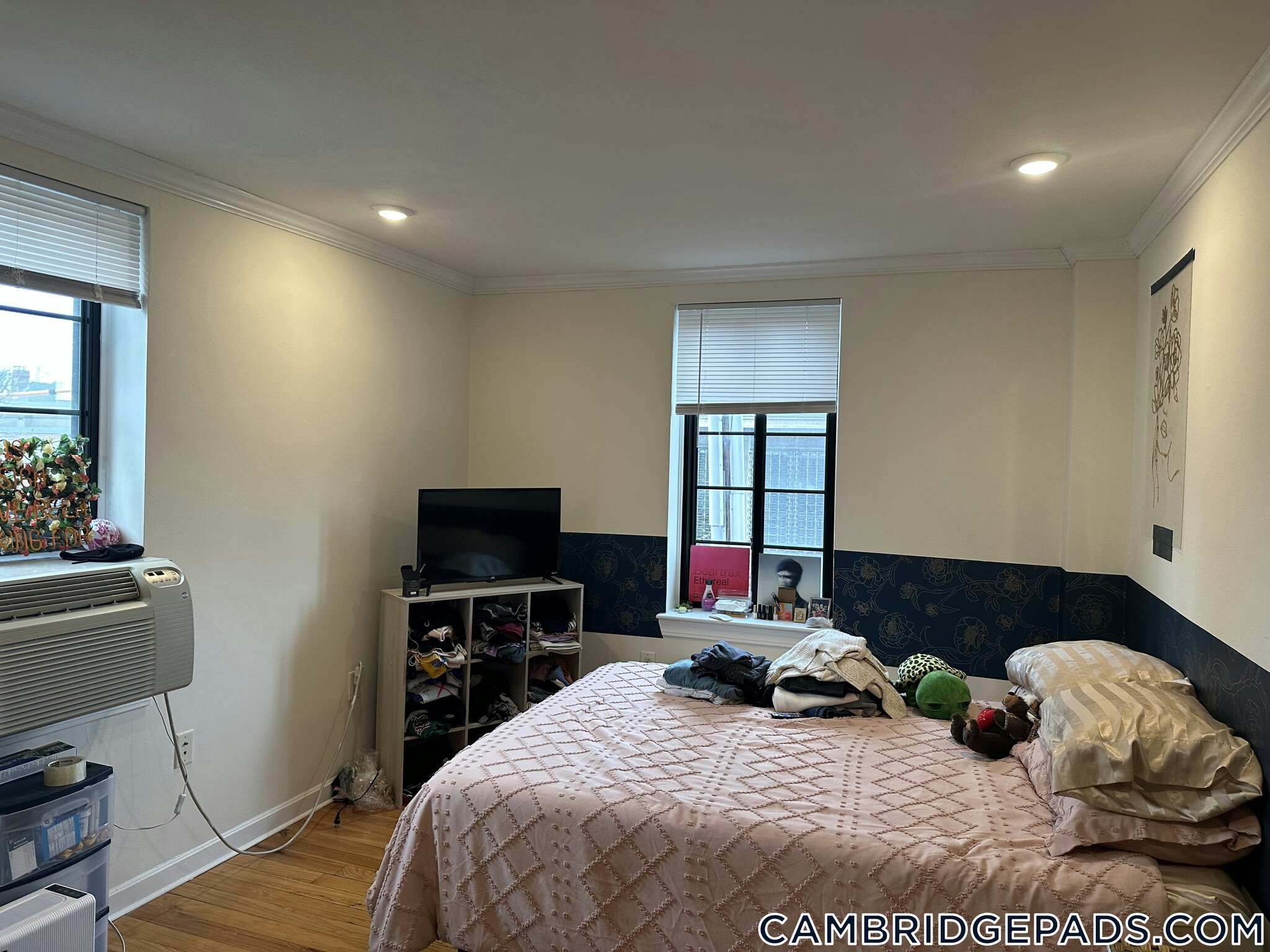 Building Photo - 60 Brattle St
