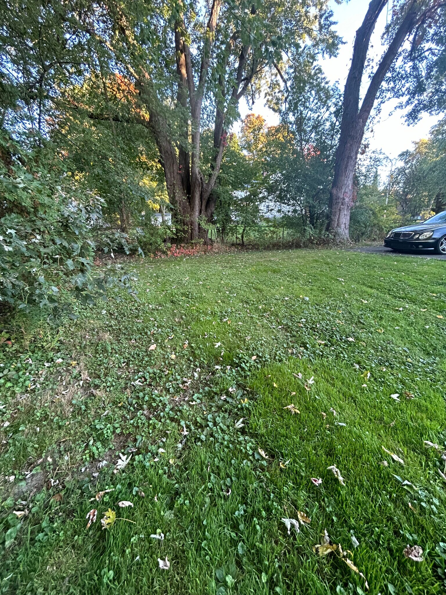 Building Photo - 30 Goldsmith St