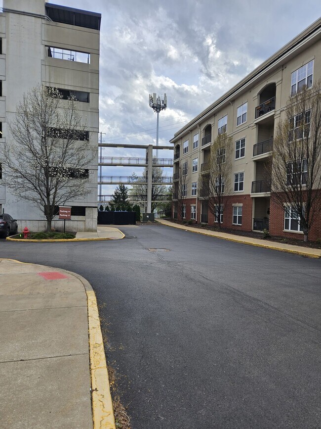 Building Photo - 1270 Strassner Dr