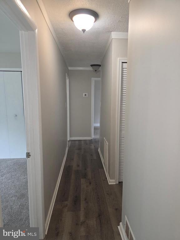 Building Photo - 51 Verdi Cir