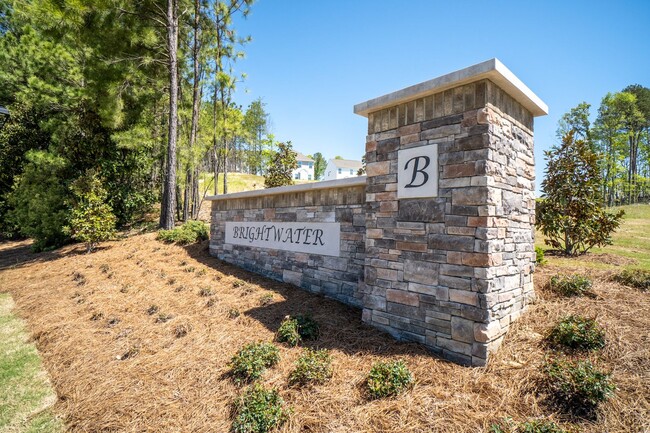 Building Photo - Stunning New Smart Home Palisades Area!