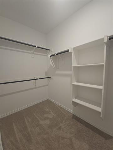 Building Photo - 1209 Dragon Wy