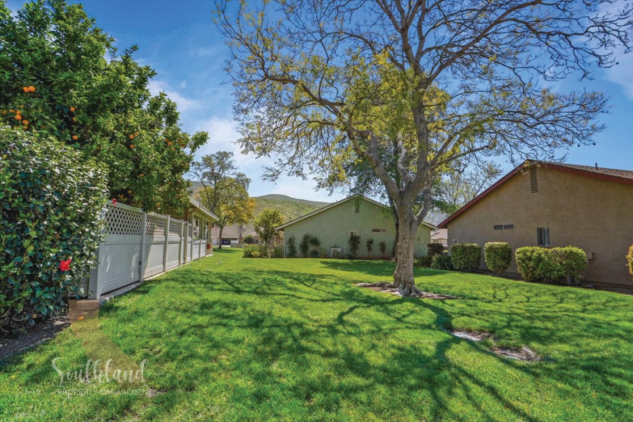 Building Photo - 40002 Village 40