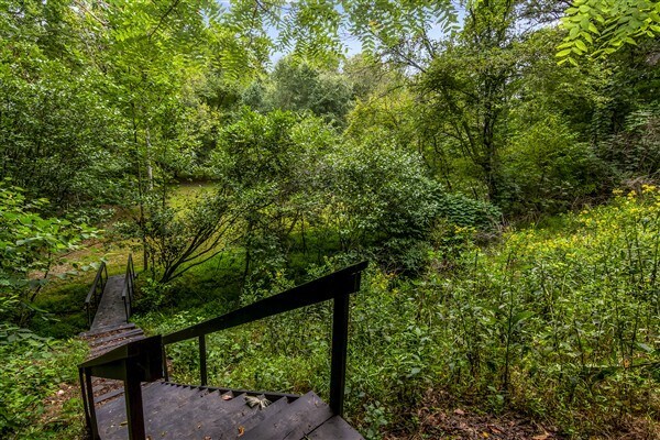 Building Photo - 1519 Tipton Springs Rd