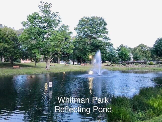 Building Photo - 17 Park Ave