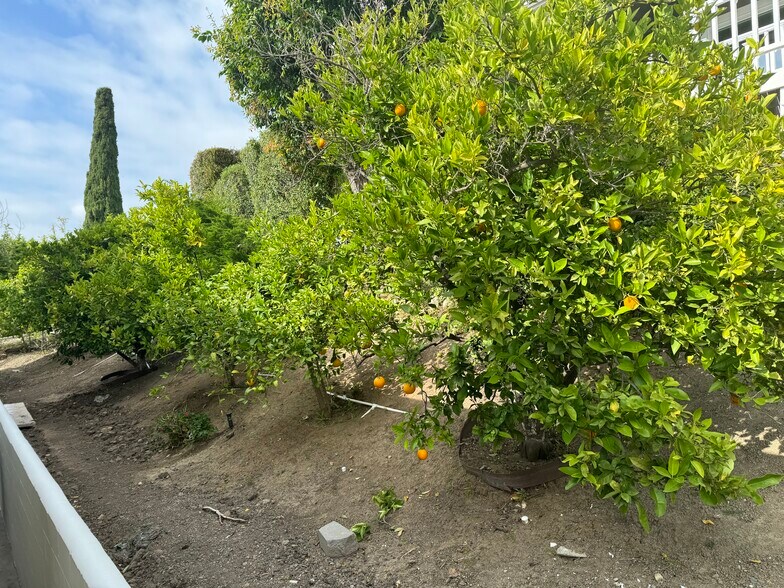 Building Photo - 18826 Winnwood Ln